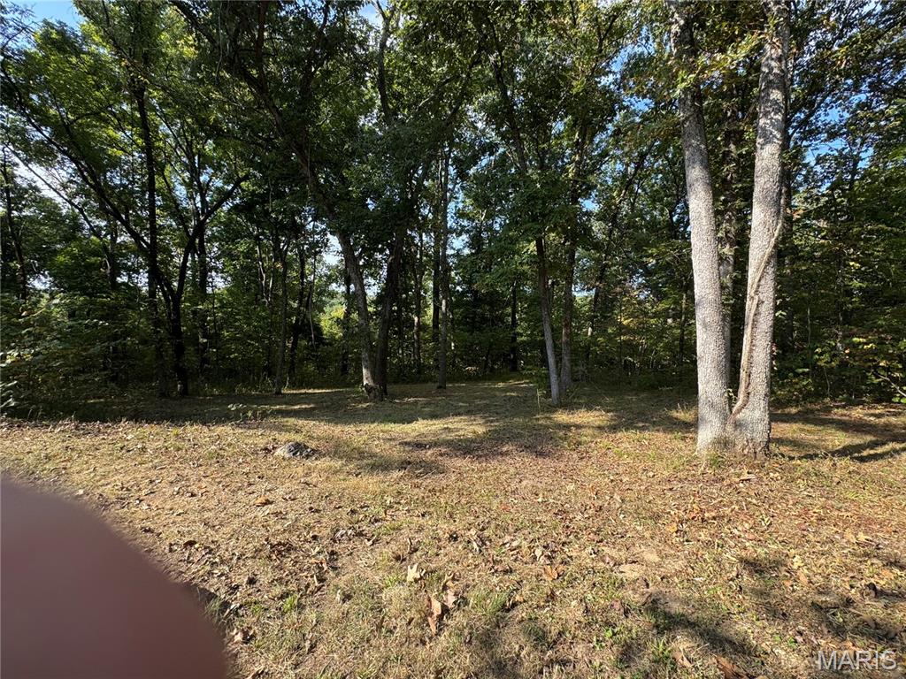 9105 State Rd Ww Dittmer, MO 63023 - Photo 39 of 53