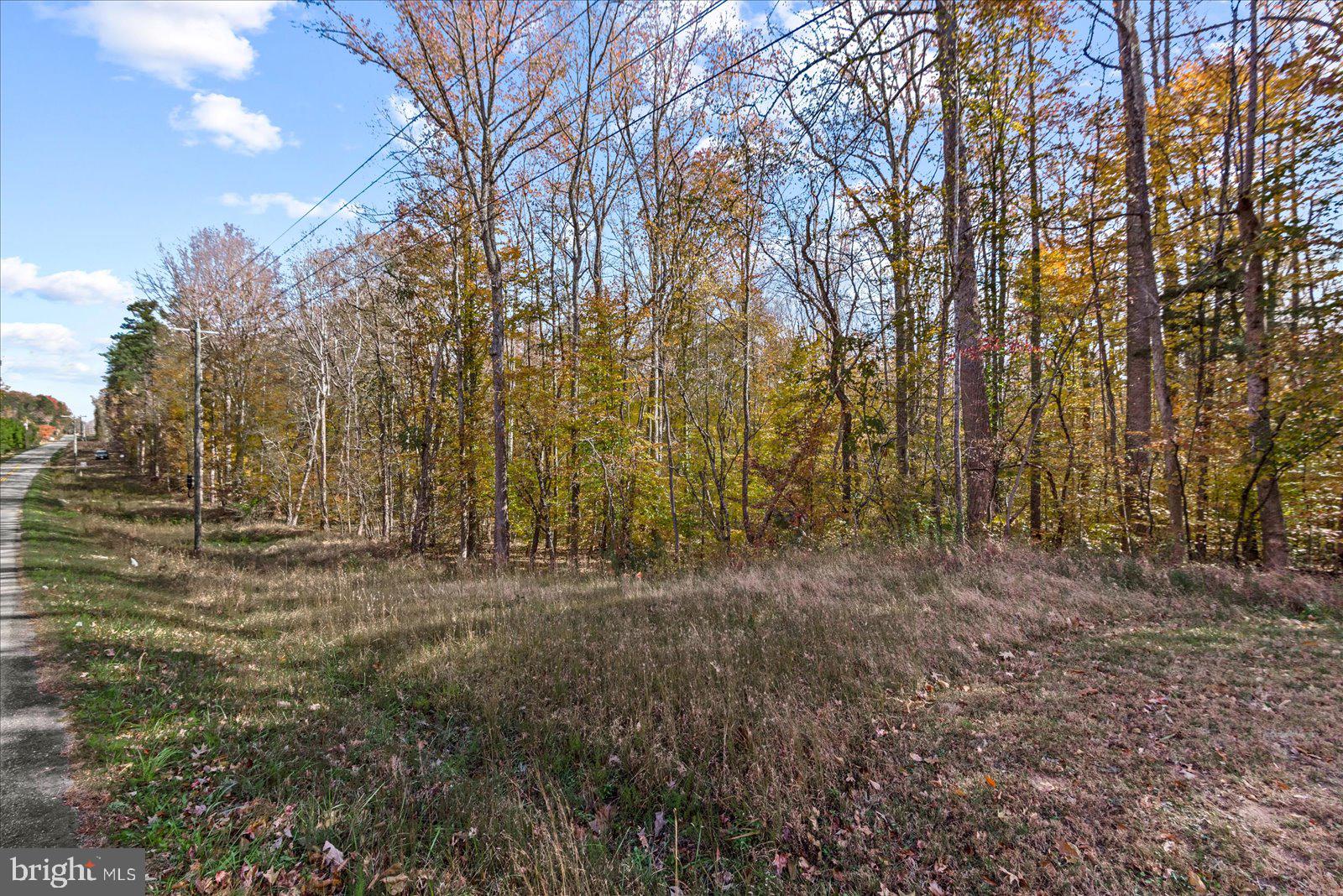316 Copper Line Road Bumpass, VA 23024 - Photo 20 of 77 Gallery Image 20