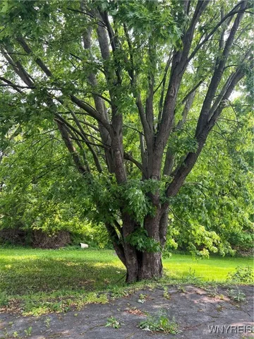 $59,360 | 4535 Holley Byron Road, Clarendon, NY 14470