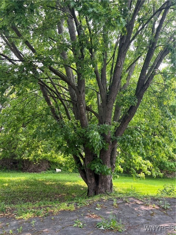 4535 Holley Byron Road Clarendon, NY 14470 - Photo 30 of 37