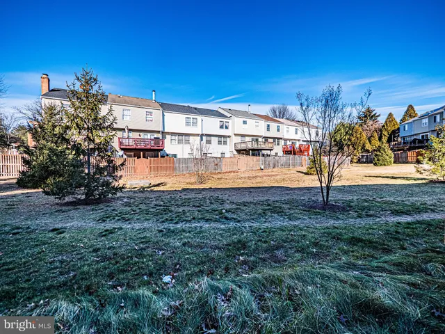 a view of a yard with lots of trees