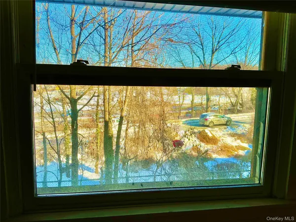 a view of a garden from a window