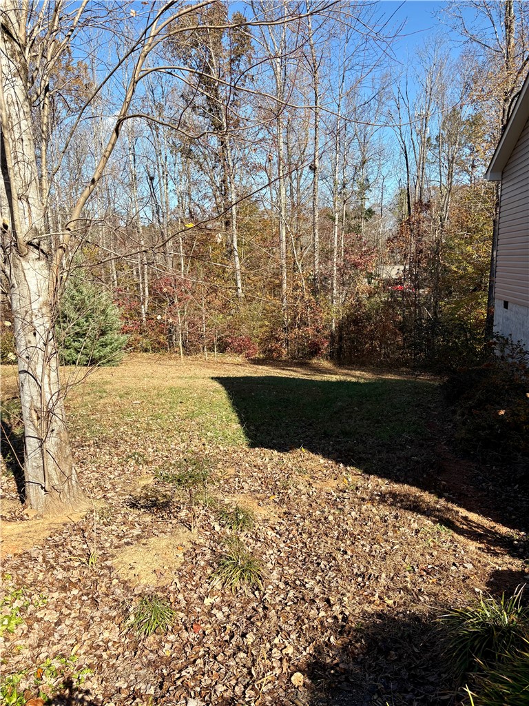 450 Cedar Tree Drive Walhalla, SC 29691 - Photo 27 of 29