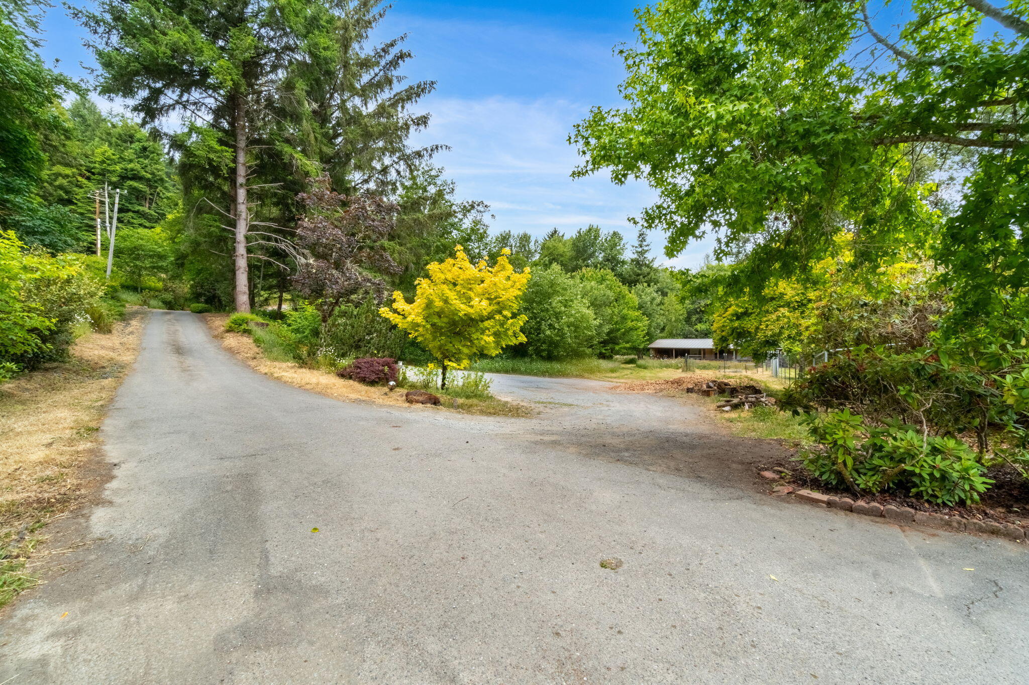 1035 Warren Creek Road Arcata, CA 95521 - Photo 49 of 61