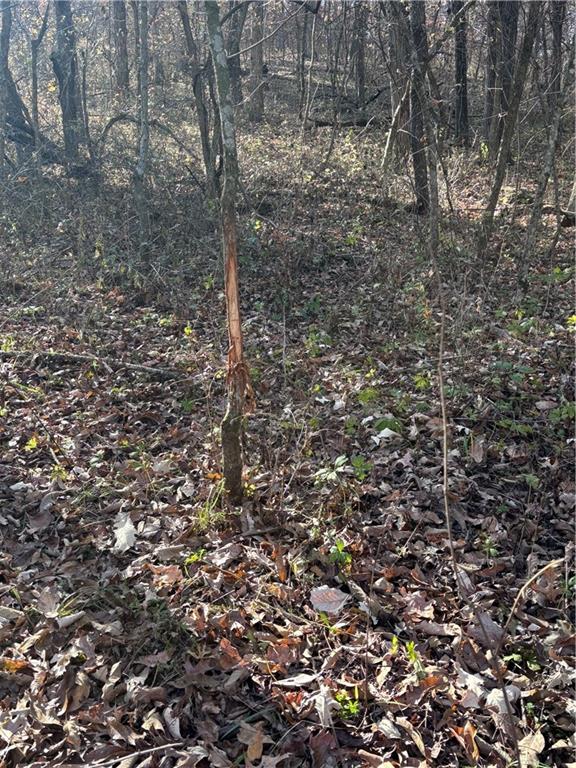 51500 River Road Milan, MO 63556 - Photo 11 of 21