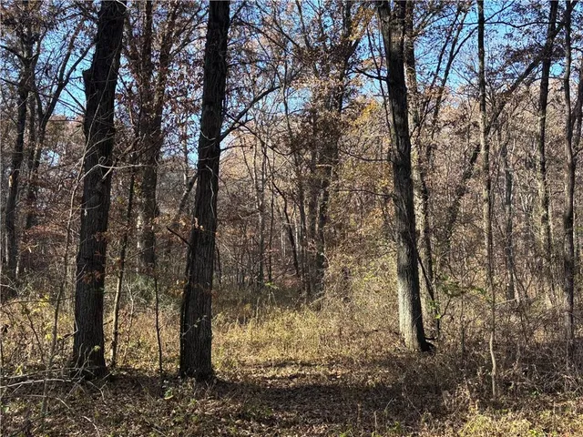 $453,600 | 51500 River Road, Milan, MO 63556