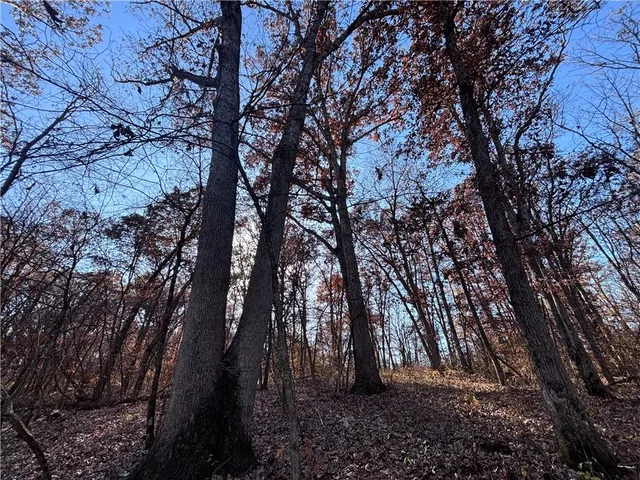 $453,600 | 51500 River Road, Milan, MO 63556