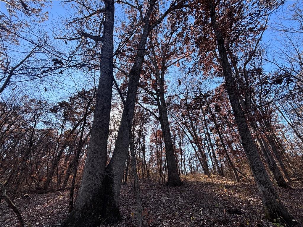 51500 River Road Milan, MO 63556 - Photo 5 of 21