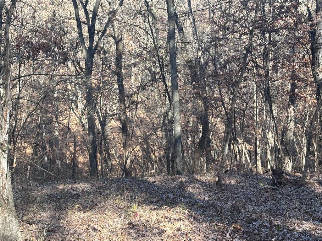 51500 River Road Milan, MO 63556 - Photo 6 of 21