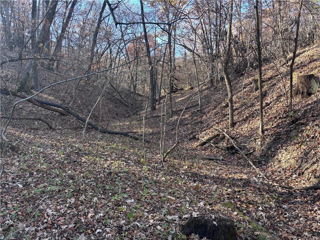 51500 River Road Milan, MO 63556 - Photo 7 of 21