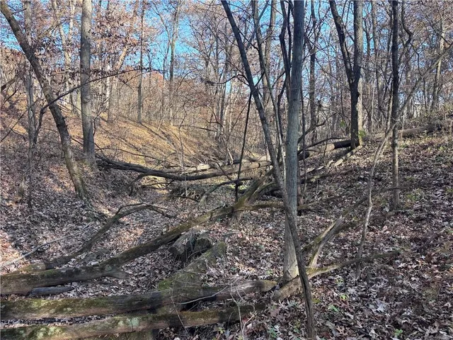 $453,600 | 51500 River Road, Milan, MO 63556