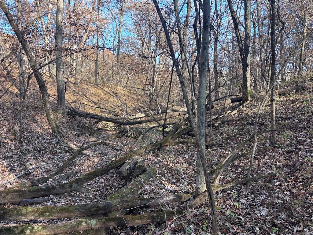 51500 River Road Milan, MO 63556 - Photo 8 of 21