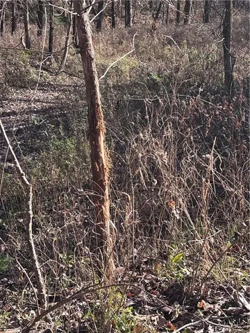 $420,000 | 51500 River Road, Milan, MO 63556