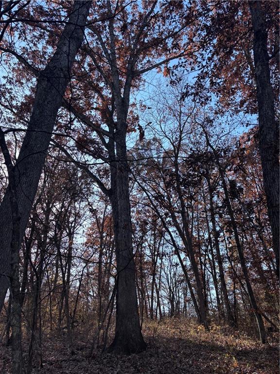 51500 River Road Milan, MO 63556 - Photo 10 of 21