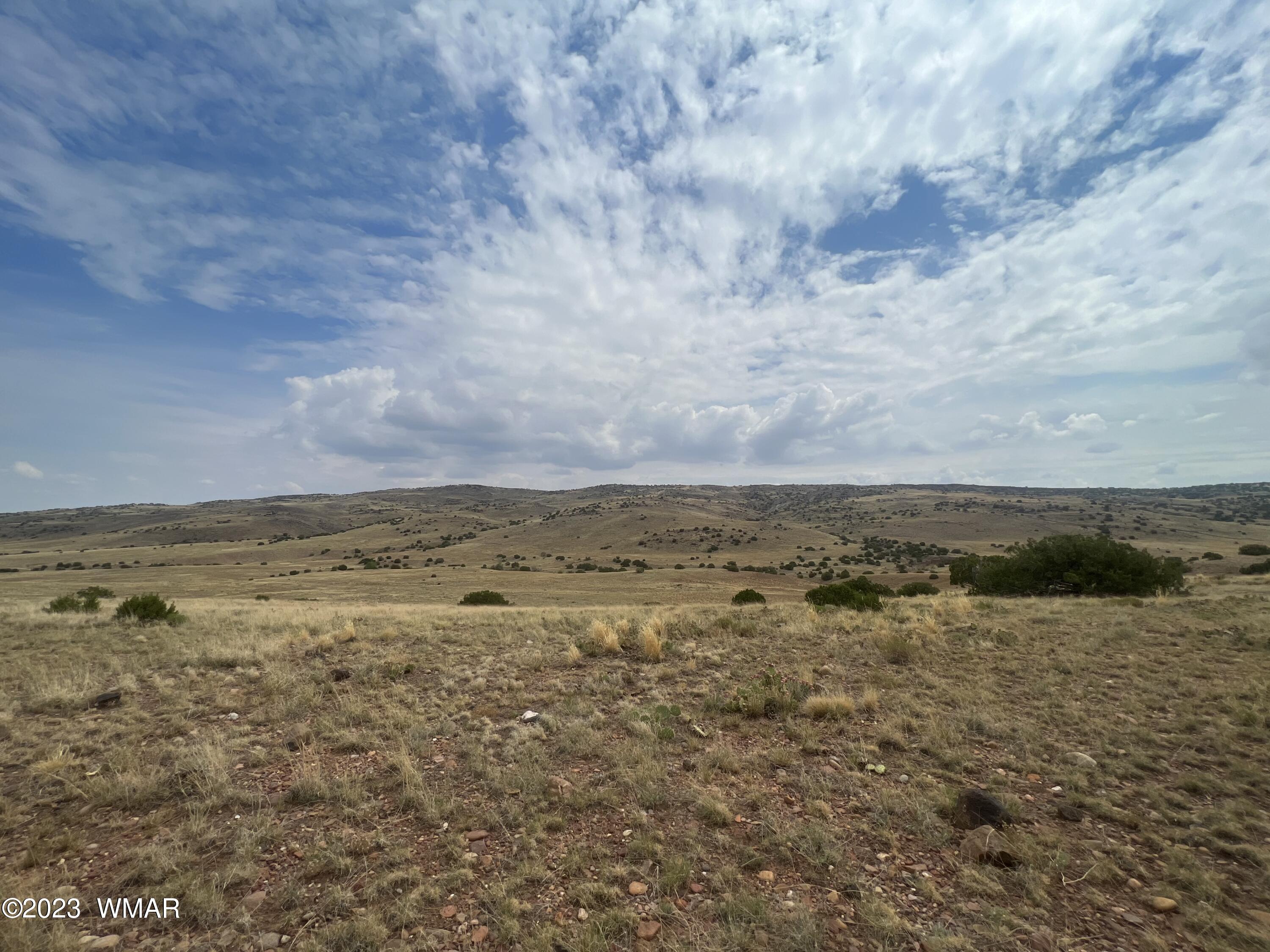Tbd Tbd Big Valley Ranches Concho, AZ 85924 - Photo 2 of 2