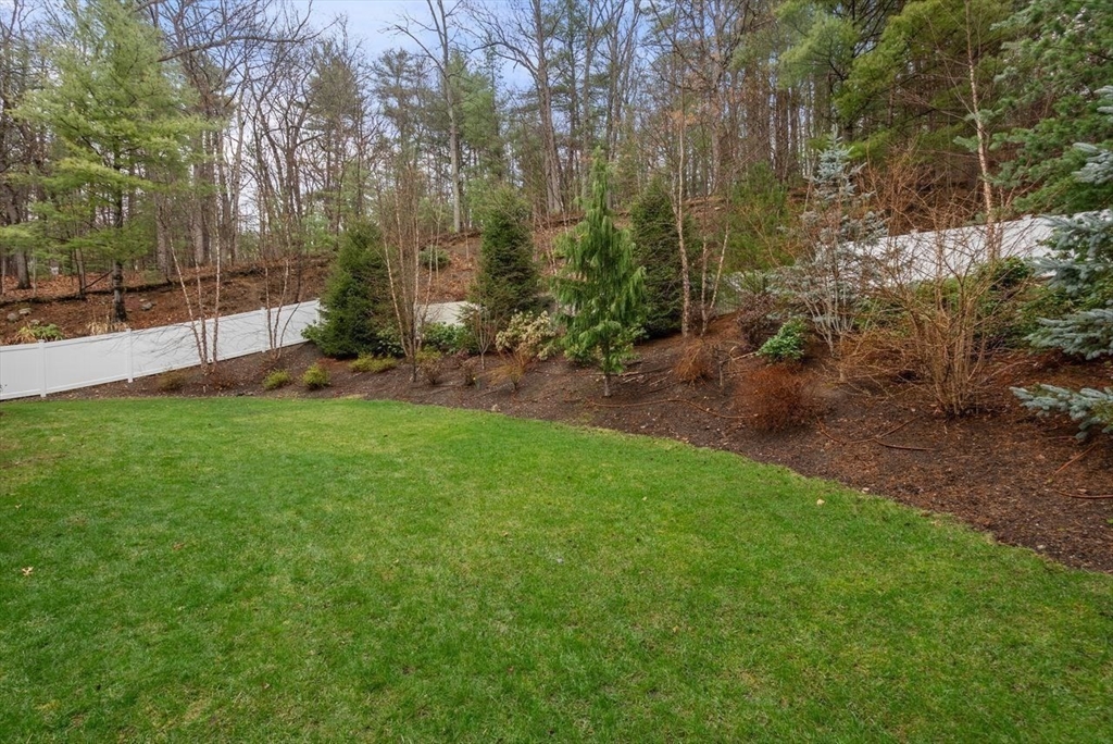 72 Great Plain Avenue Wellesley, MA 02482 - Photo 38 of 38 a view of a yard with a tree