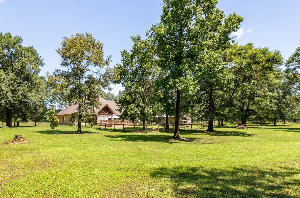 1171 Old Ewing Road Lufkin, TX 75901 - Photo 36 of 49 a view of swimming pool with trees and grass