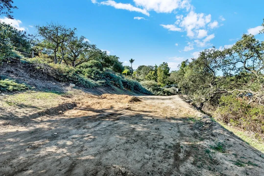 1198 Hanover Place Alpine, CA 91901 - Photo 63 of 68 a view of a yard with plants and trees
