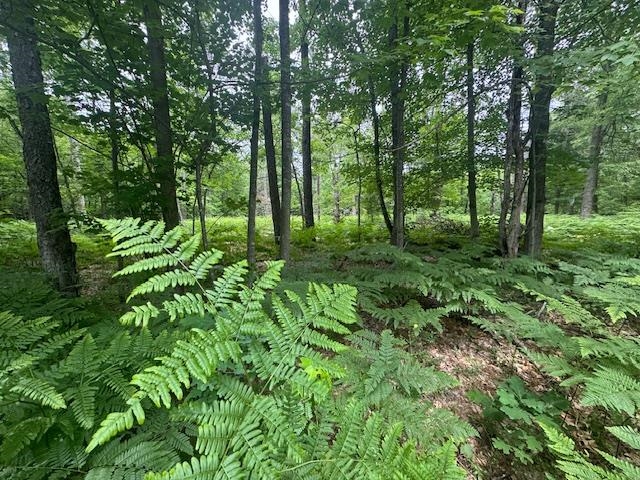 10384 West Rosted Road Lake City, MI 49651 - Photo 8 of 10