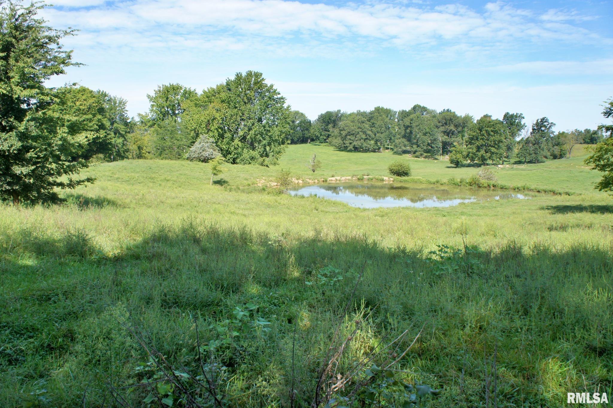 0 Highway 37 Road Grand Chain, IL 62941 - Photo 13 of 28 Gallery Image 13