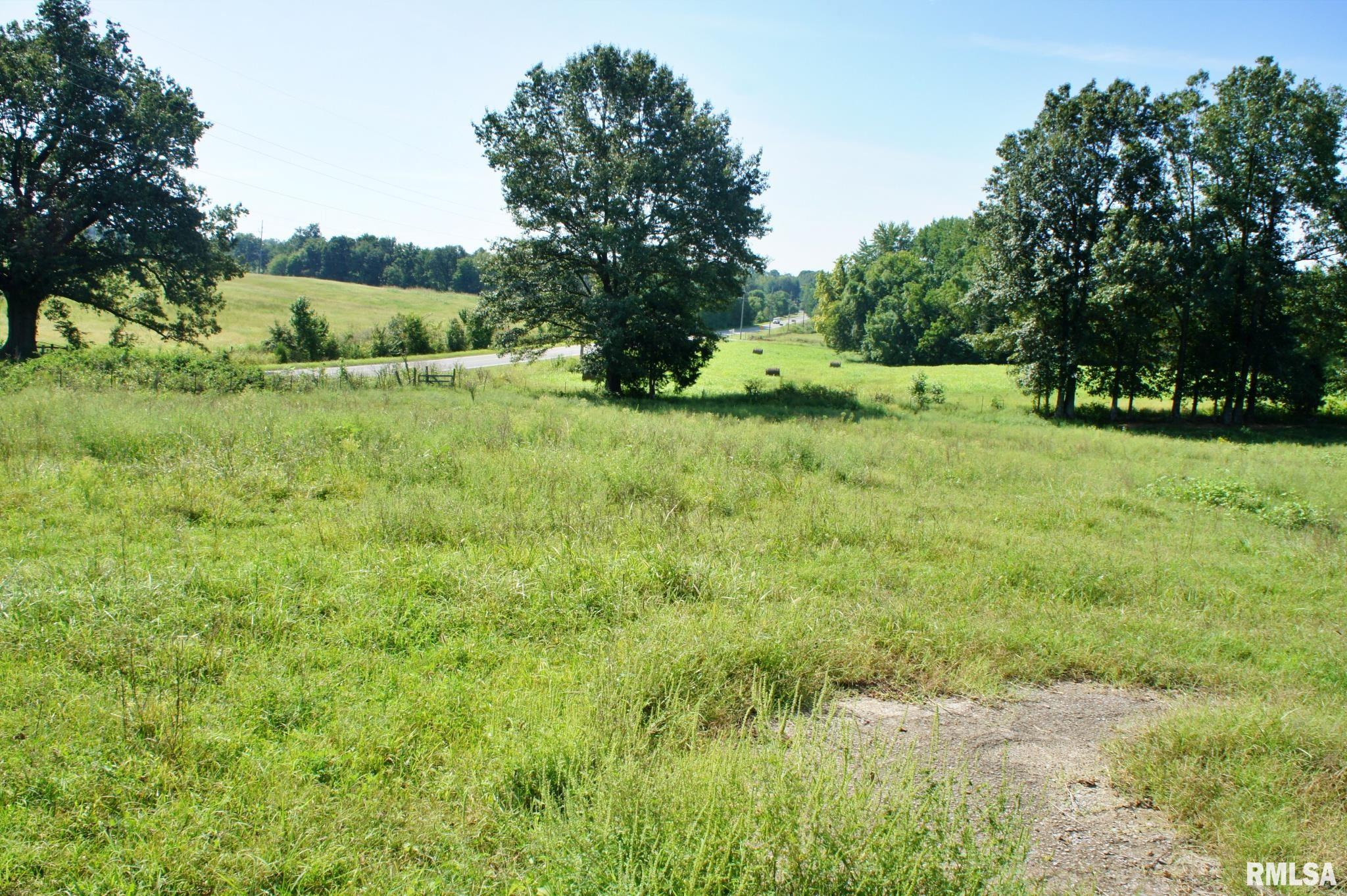 0 Highway 37 Road Grand Chain, IL 62941 - Photo 16 of 28 Gallery Image 16