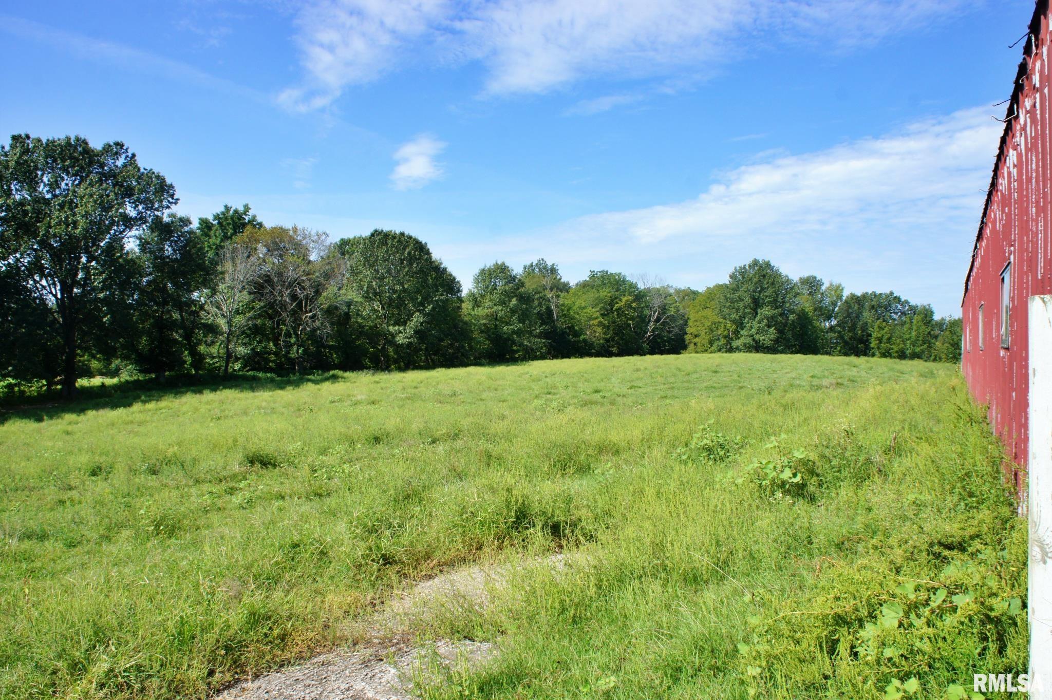 0 Highway 37 Road Grand Chain, IL 62941 - Photo 17 of 28 Gallery Image 17