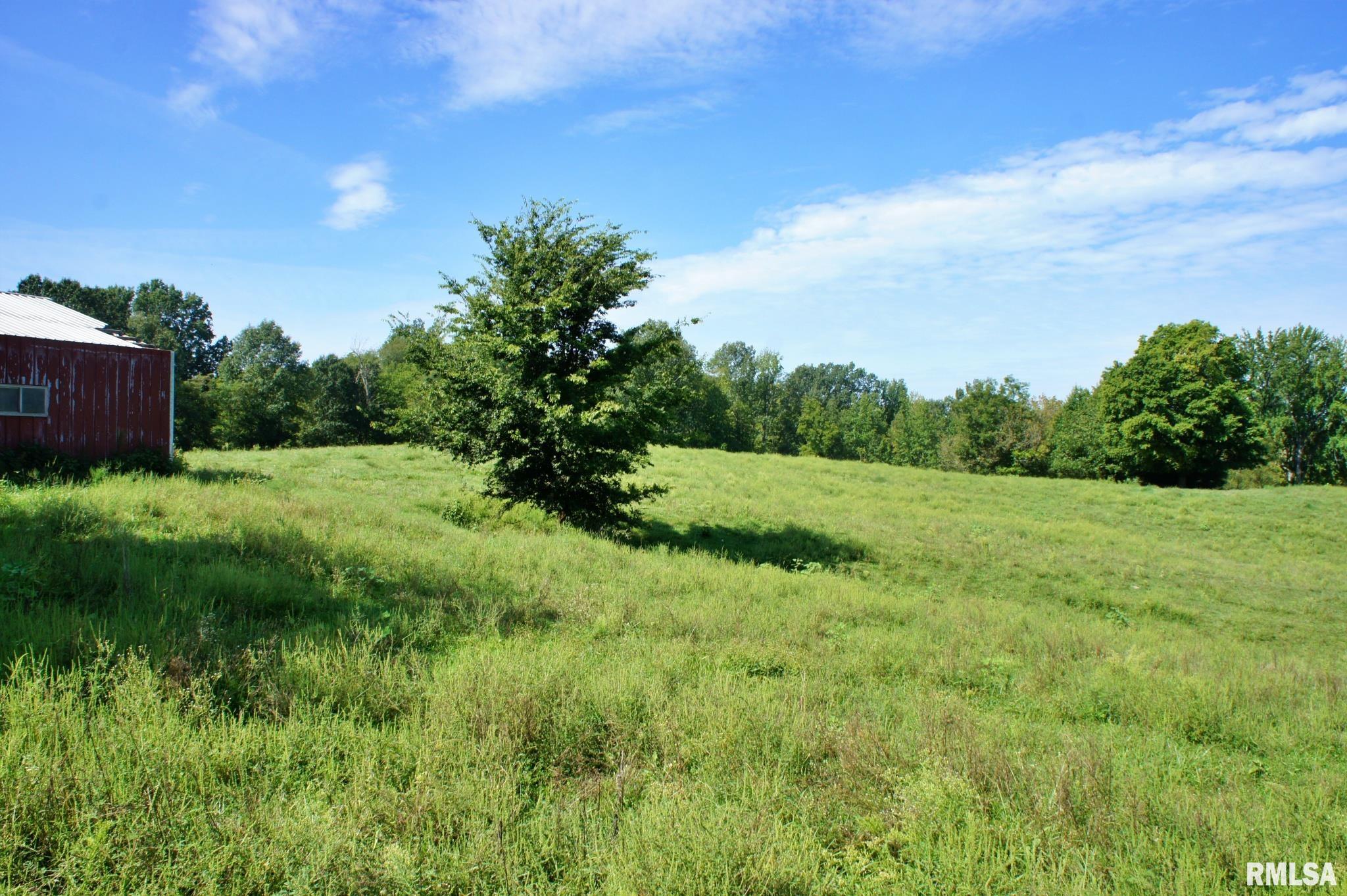 0 Highway 37 Road Grand Chain, IL 62941 - Photo 18 of 28 Gallery Image 18