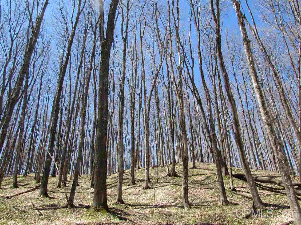 58 Shingleton Mi 49884 Shingleton, MI 49884 - Photo 3 of 4
