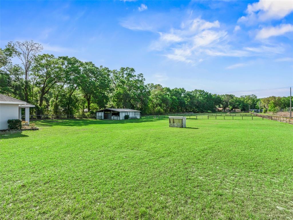 30 Southwest 145th Street Ocala, FL 34473 - Photo 9 of 15