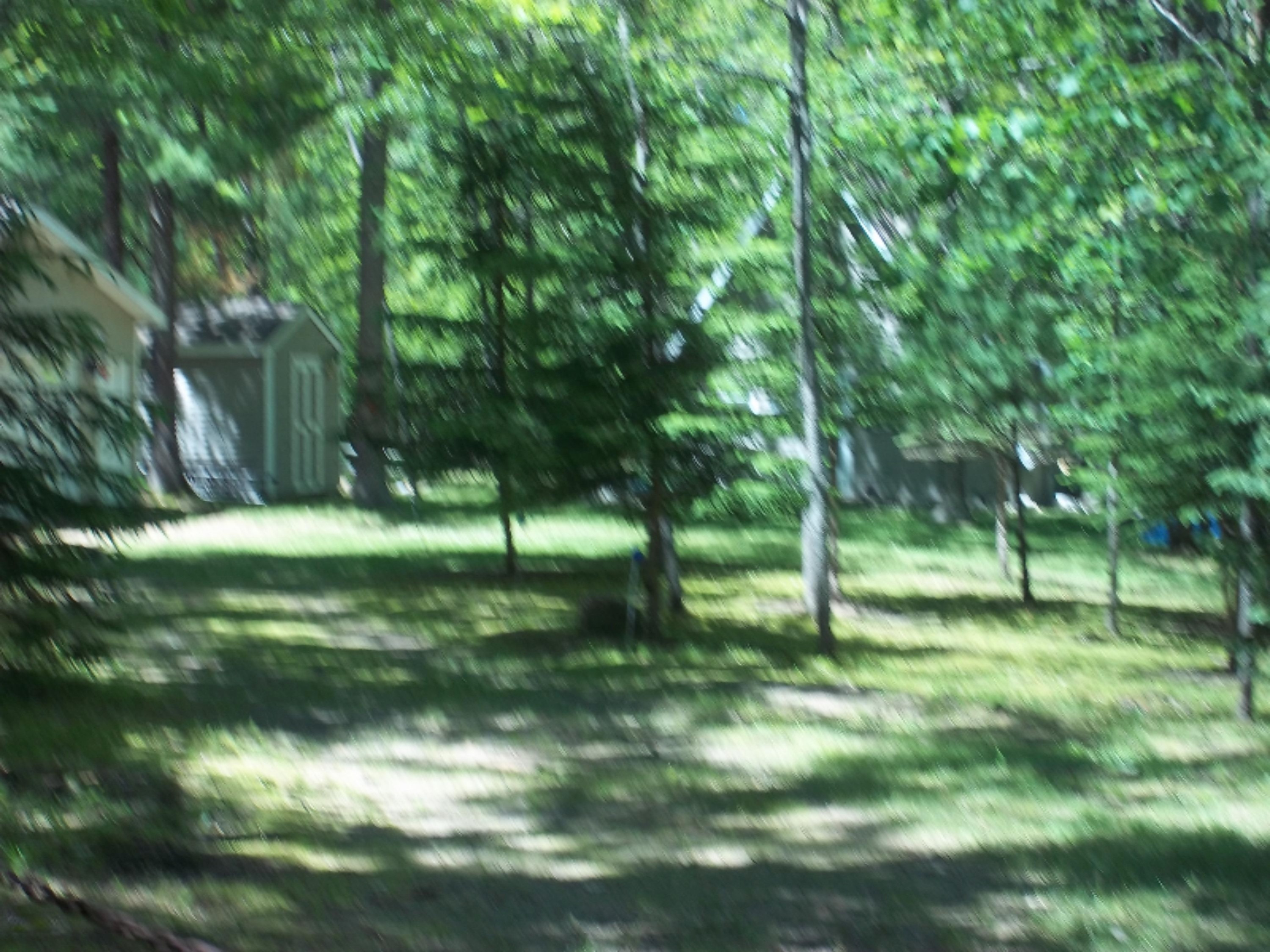 10242 Ziska Road Wellston, MI 49689 - Photo 25 of 29 110_0983