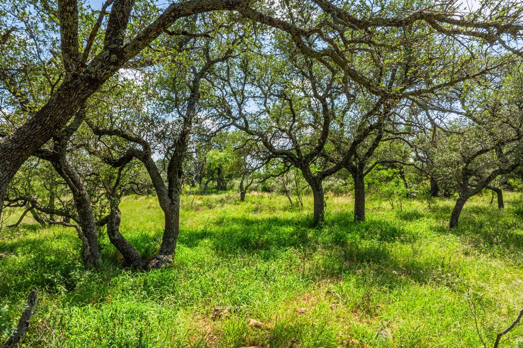 7602 County Road 113 Llano, TX 78643 - Photo 10 of 69