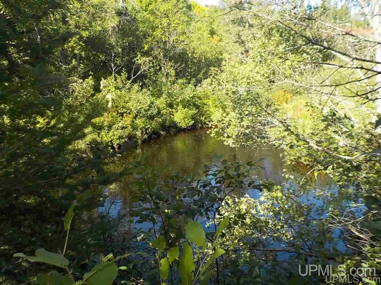 Tbd Parks Farm Road Iron River, MI 49920 - Photo 10 of 31