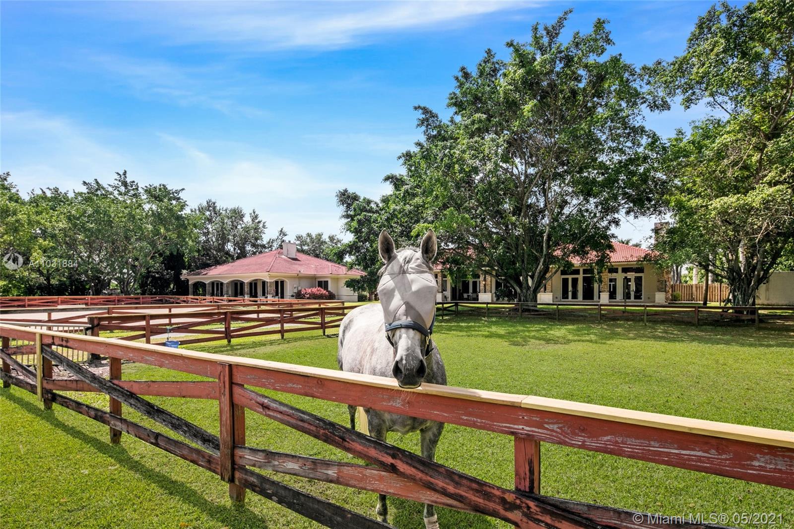 6401 Rodeo Drive Southwest Ranches, FL 33330 - Photo 49 of 60