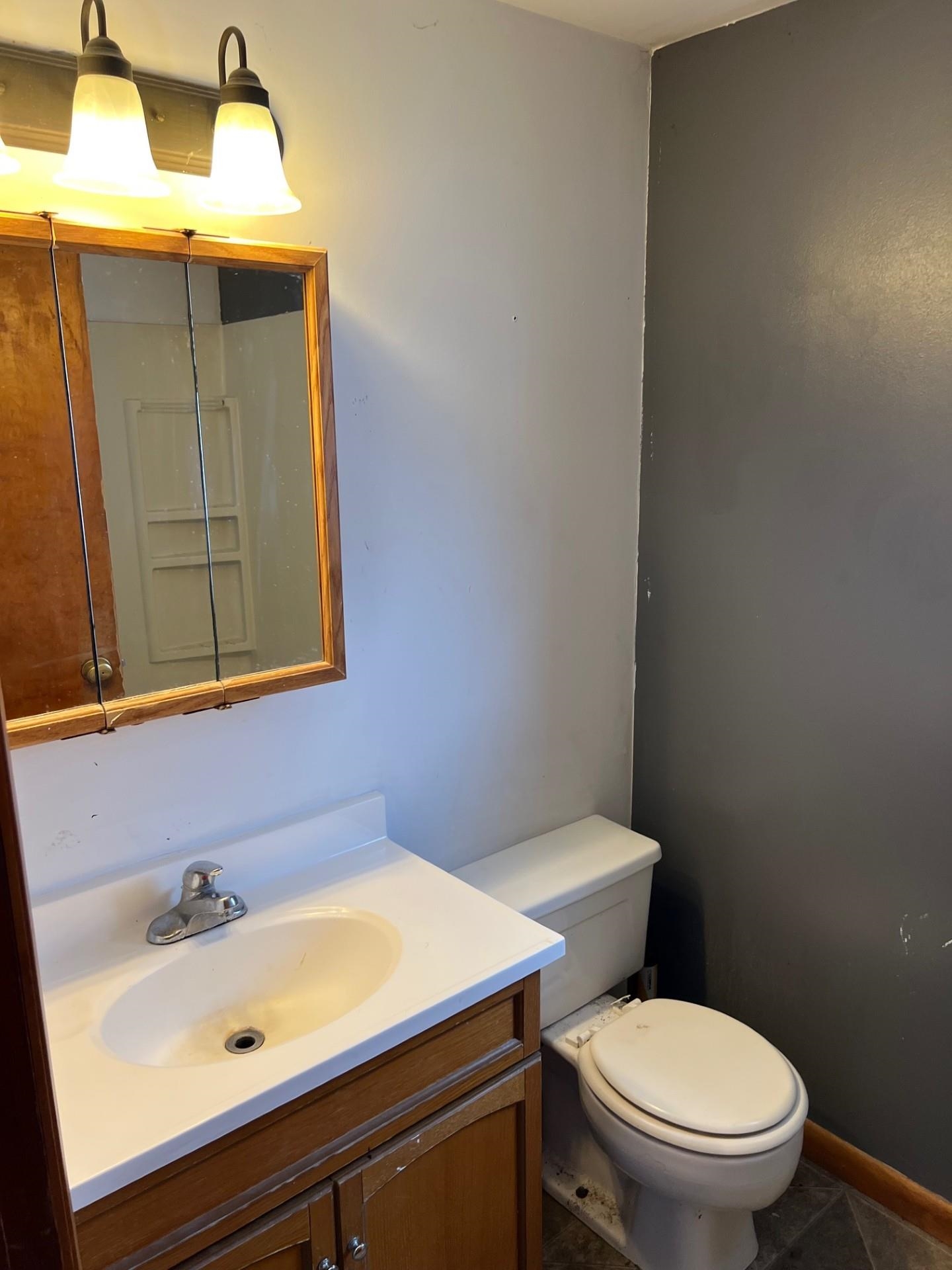 860 North Kent Road Kent, IL 61044 - Photo 9 of 11 a bathroom with a sink mirror vanity and toilet