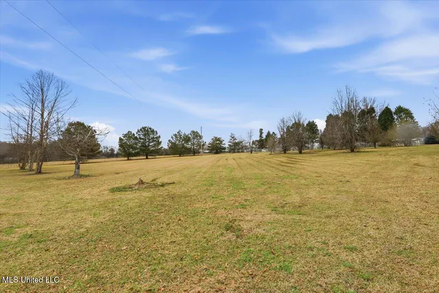 $499,000 | 389 Moss Road, Canton, MS 39046