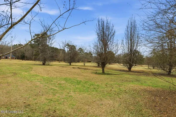 $499,000 | 389 Moss Road, Canton, MS 39046