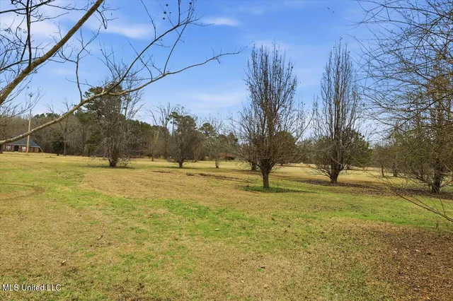 $499,000 | 389 Moss Road, Canton, MS 39046