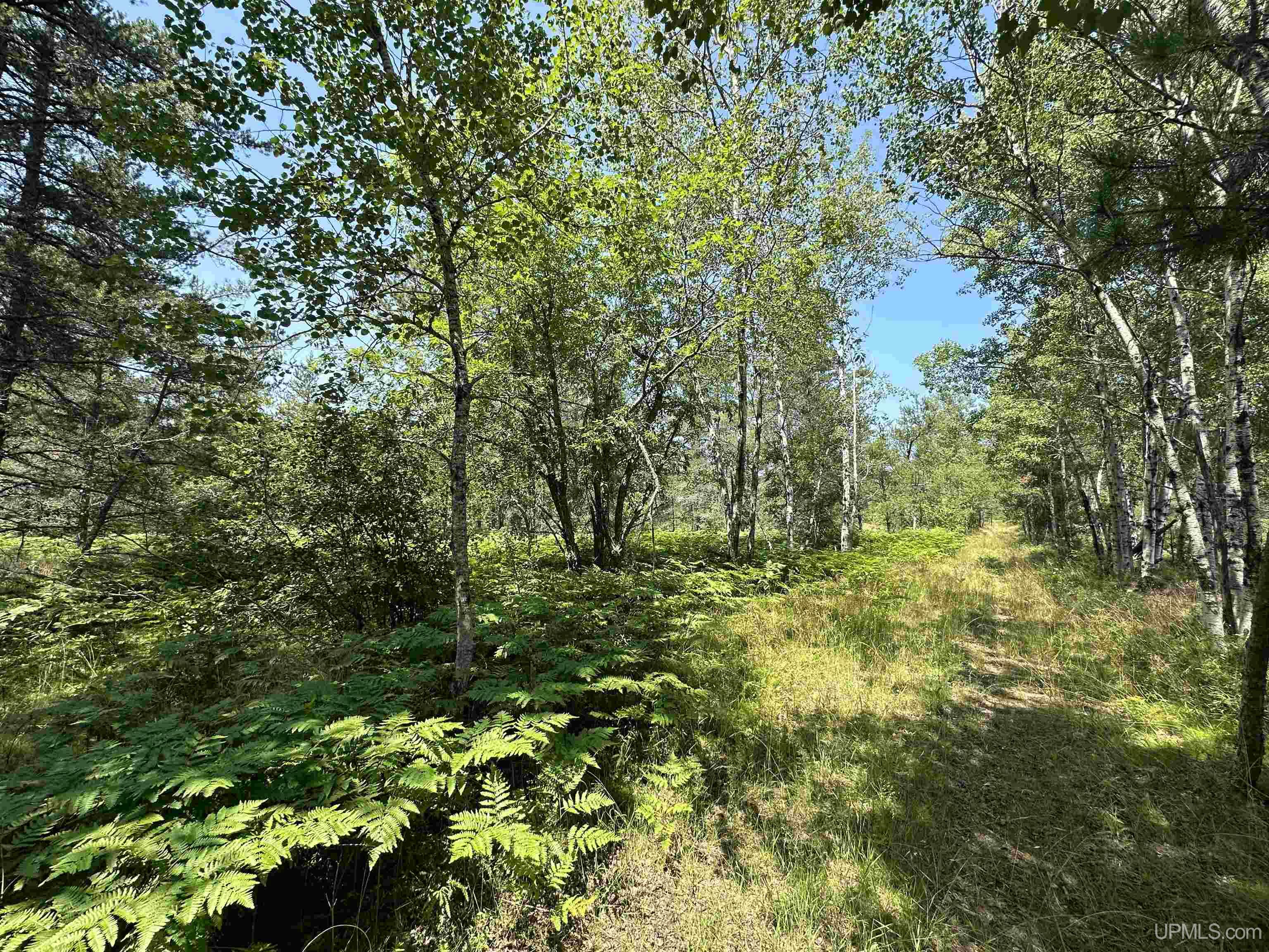 2020-2050 Co Road Little Lake, MI 49833 - Photo 8 of 39