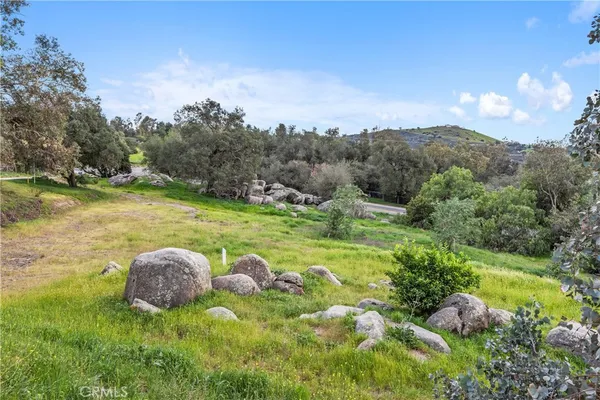 a view of a street with a yard and a large trees