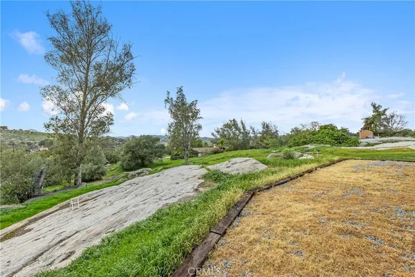 a view of a field with plants and trees