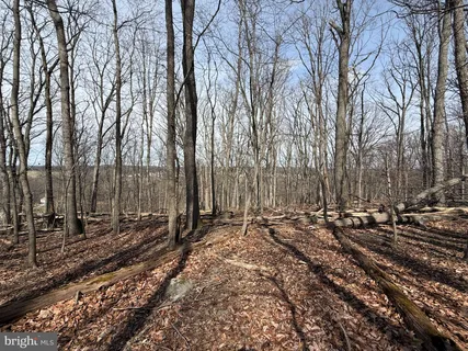 a view of a backyard of the house