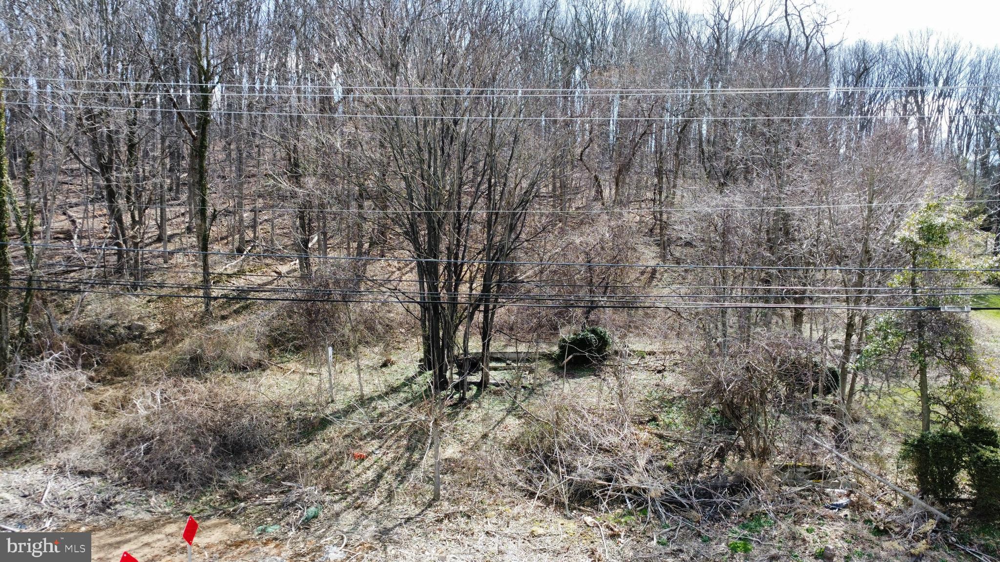 2849 Manchester Road Westminster, MD 21157 - Photo 7 of 9 a view of a dry yard