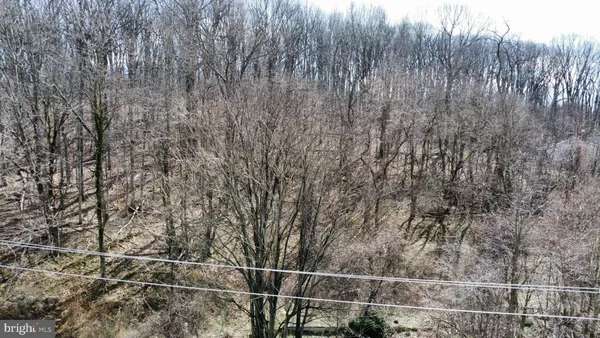 a view of a dry yard