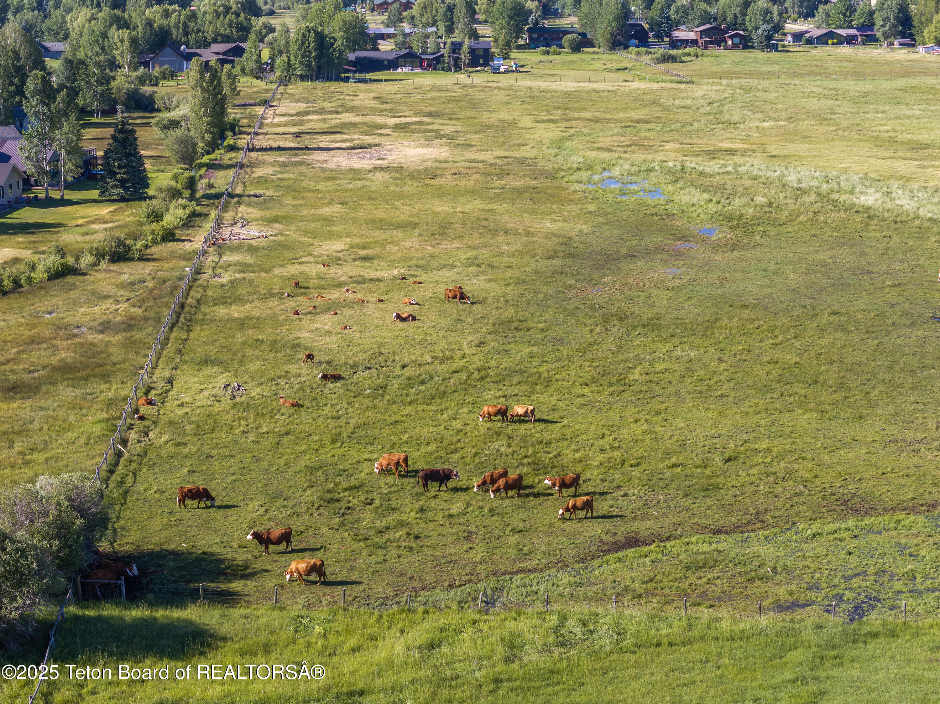 120 Acres South Park Loop Road Jackson, WY 83001 - Photo 14 of 28 DJI_20240705210436_0073_D