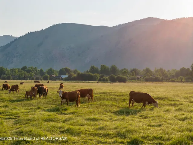 $33,500,000 | 120 Acres South Park Loop Road, Jackson, WY 83001