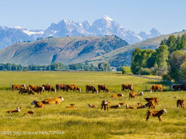 $33,500,000 | 120 Acres South Park Loop Road, Jackson, WY 83001