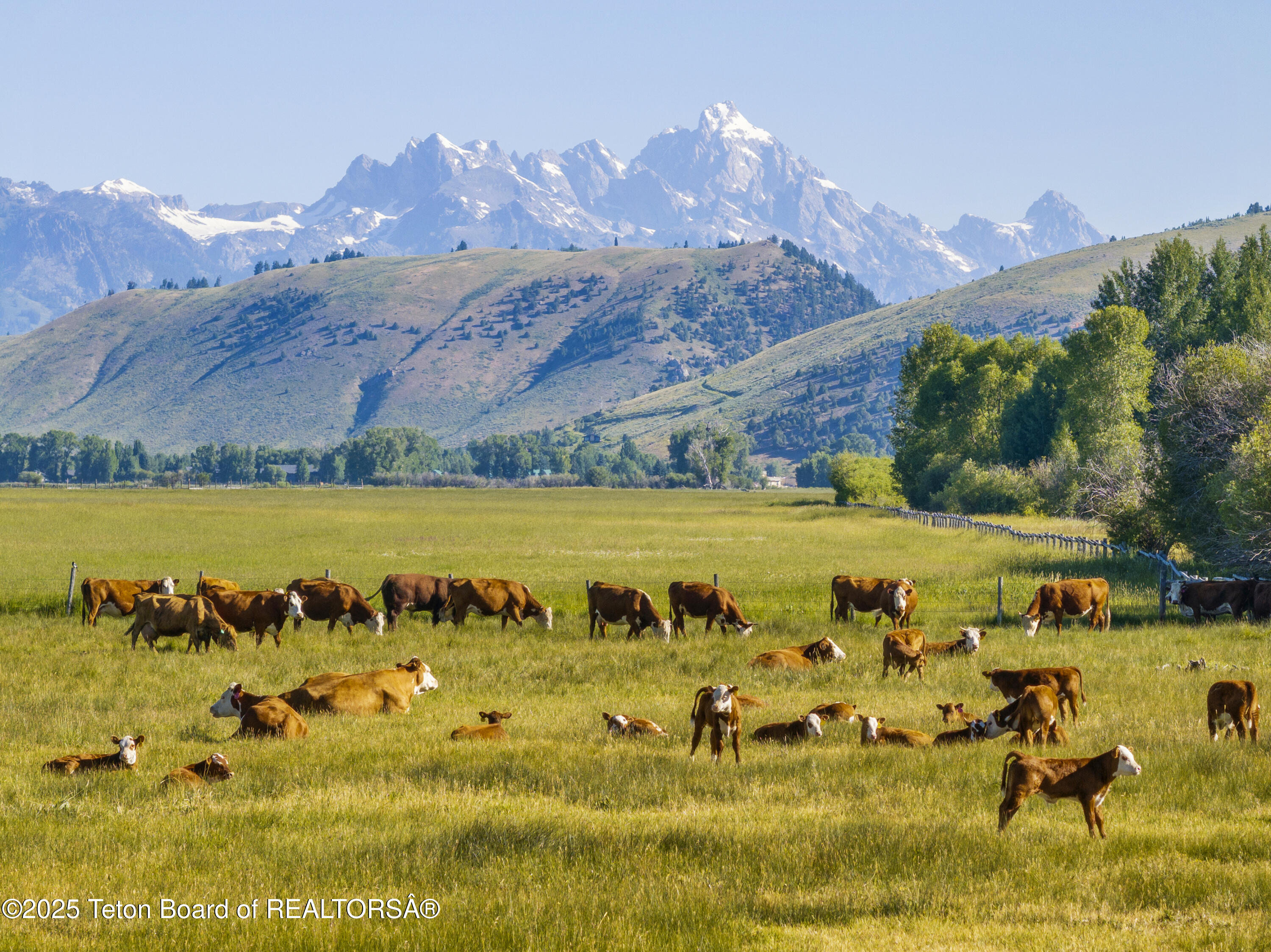 120 Acres South Park Loop Road Jackson, WY 83001 - Photo 22 of 28 DJI_20240705210548_0077_D