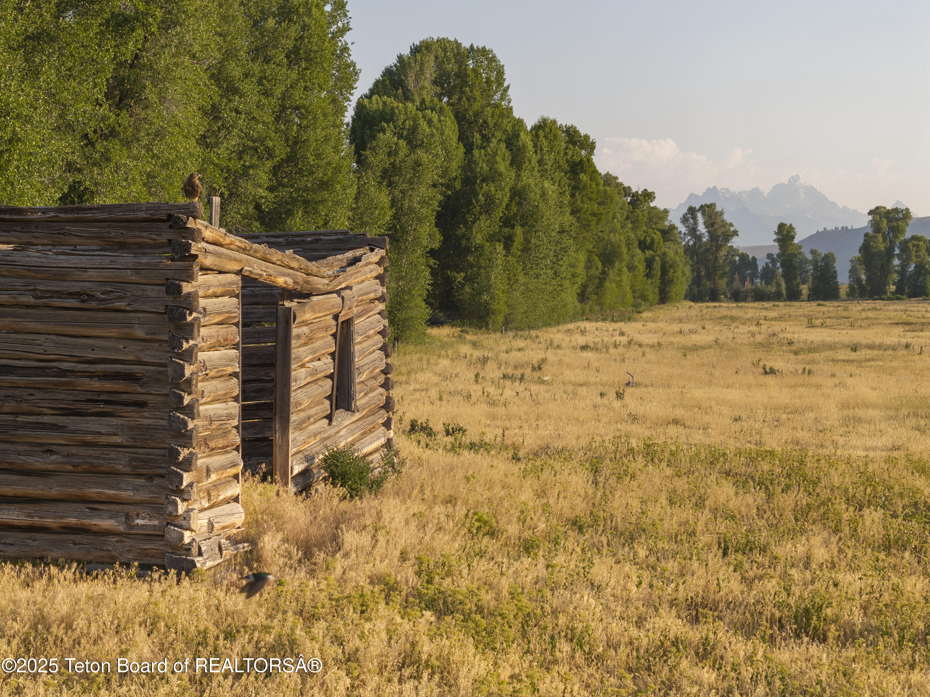 120 Acres South Park Loop Road Jackson, WY 83001 - Photo 10 of 28 DJI_20240713192717_0007_D