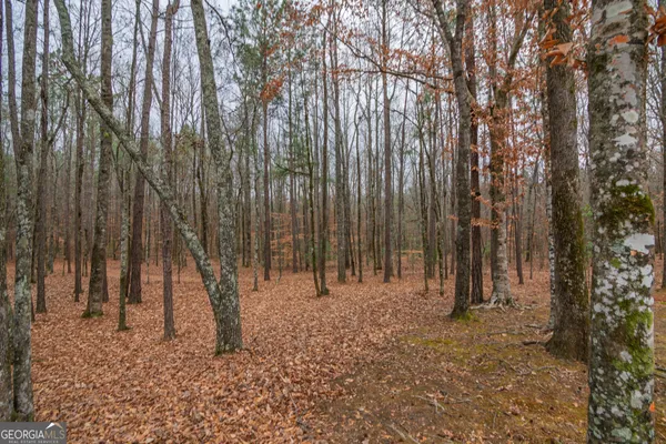 $925,000 | 1578 Highway 208, Hamilton, GA 31811