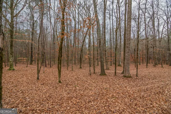 $925,000 | 1578 Highway 208, Hamilton, GA 31811